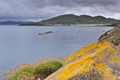 海岬,瓜,托里登,韦斯特罗斯,水平画幅,无人,苏格兰,偏远的,户外