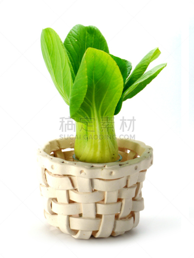 白色,油菜,分离着色,胡青,浮冰,牛皮菜,芜菁,垂直画幅,有机食品,维生素