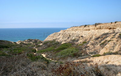 松树,风景,托里松树州立保留地,拉贺亚市,圣地亚哥,天空,公园,悬崖,水平画幅,绿色