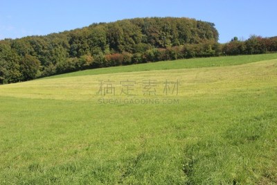 田地,上奥地利州,绿色,地形,森林,山,农业,安静,奥地利,技术