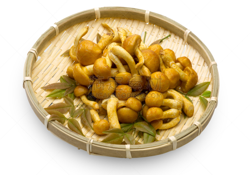 蘑菇,篮子,竹子,水平画幅,绿色,无人,成分,滑子菇,叶子,食品