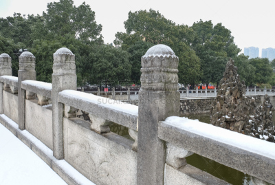 寺庙,远古的,长沙,湖南省,天空,禅宗,荷花,水平画幅,素食,雪