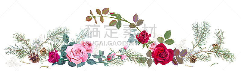 Panoramic view with red, pink roses, pine branches and cones, needles. Horizontal border for Christmas: flowers, buds, leaves on white background, digital draw illustration, watercolor style, vector