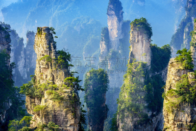 地形,张家界,古老的,早晨,旅行者,武陵源,完美,国际著名景点,著名景点,风景