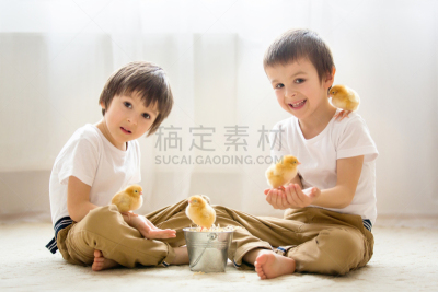 进行中,兄弟,男孩,可爱的,两只动物,幼儿园,身为人母,美,复活节,褐色