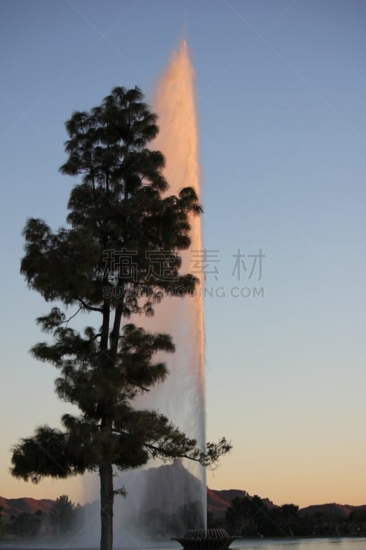 天空,亚利桑那,野生动物,地形,沙漠,非凡的,东,棕榈树,机遇,斯科茨戴尔