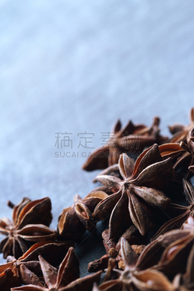 星茴芹,种子,海洋,前景聚焦,茴香酒饮料,亚力酒,萨姆布卡酒,乌佐,土耳其白酒,甘草糖