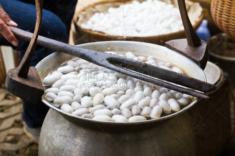 茧,锅,沸腾的,水平画幅,纺织品,生食,毛虫,麻花编织,特写,牙线