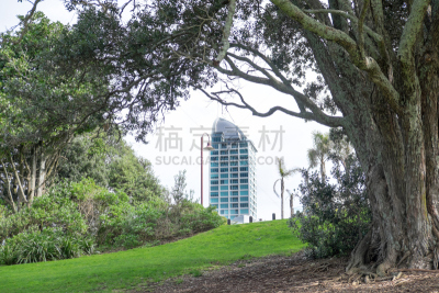 奥克兰,新西兰,摩天大楼,塔,野生动物保护区,塔卡普纳海滩,塔卡普纳,北岸市,透过其它物体观看,公园