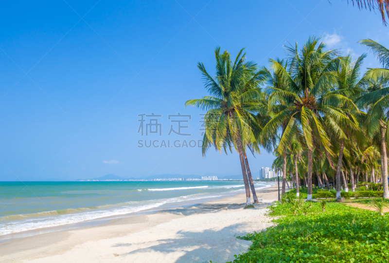 棕榈树,海滩,海洋,白沙国家纪念馆,鸡尾酒,海南省,三亚,水,天空,水平画幅