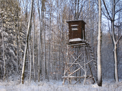 冬天,猎伪装,猎人,黑森林,水平画幅,捕猎行为,雪,2015年,森林,户外