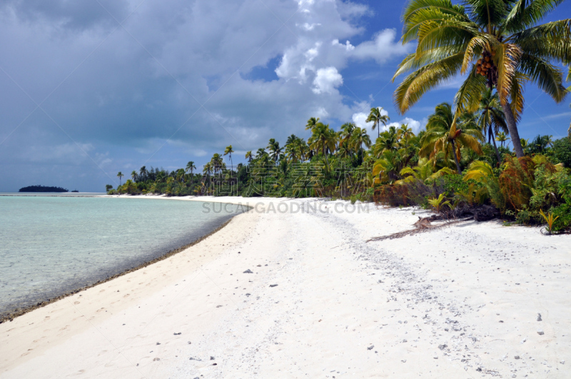 棕榈树,aitutaki lagoon,海滩,库克群岛,水,天空,水平画幅,沙子,无人,南太平洋