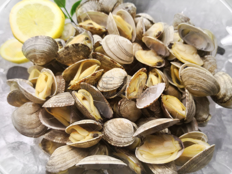 生食,海产,组图,水平画幅,新加坡,无人,钙,膳食,维生素b12,白色