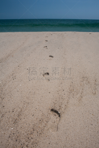 海滩,脚印,瑙塞特海滩,韦尔夫利特,南塔盖特,马莎葡萄园,温带雨林,柯德角,垂直画幅,沙子