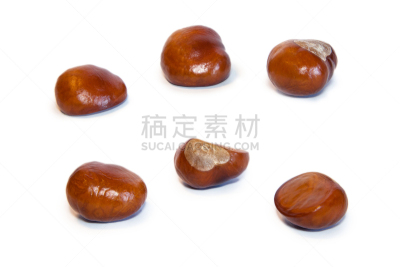 七叶树种子,分离着色,白色背景,十月,清新,食品,成分,植物,背景,水果