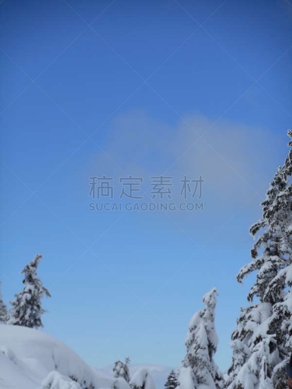 长野县,冬天,日本,八岳山,巴岳山,休眠火山,垂直画幅,天空,里山,雪