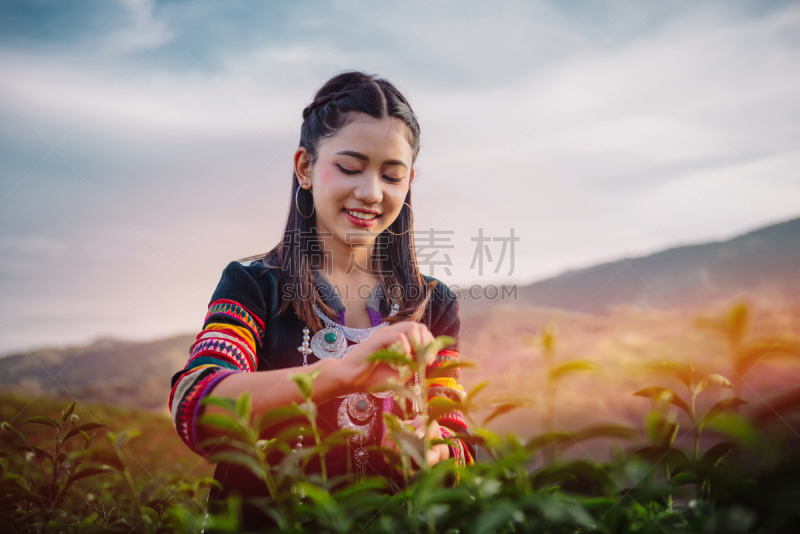 女人,茶树,农场,友谊,农业,阿卡,可爱的,传统,少数民族,肖像