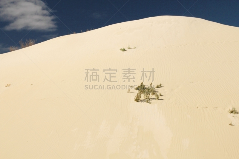 沙漠,石峰沙漠,西澳大利亚,水平画幅,沙子,旅行者,夏天,尖峰,户外,沙丘