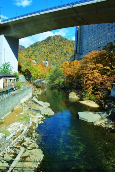 秋天,温泉,札幌,北海道,风景,黄色,红色,垂直画幅,图像,叶子