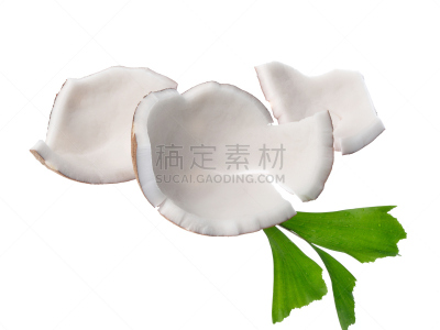 椰子,叶子,白色背景,分离着色,褐色,气候,水平画幅,纹理效果,异国情调,饮料