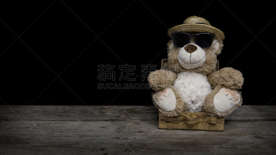 泰迪熊,水平画幅,小的,可爱的,嬉戏的,无人,手提箱,熊,眼镜,太阳镜