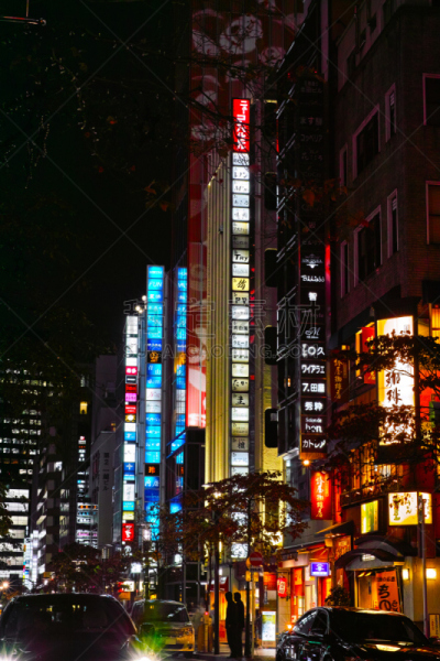 银座,霓虹灯,市区,垂直画幅,夜晚,行人,东亚,商店,户外,灯
