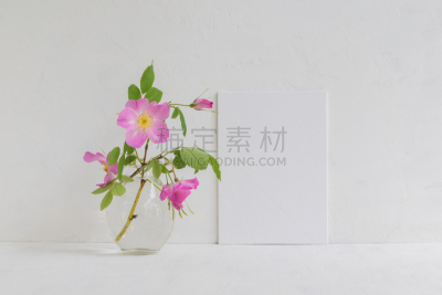 边框,粉色,白色,玫瑰,臀,空的,华贵,母亲,模板,女人