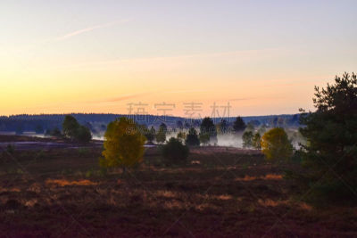 Golden autumn in the Lüneburg Heath near Undeloh