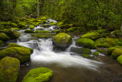 river roaring fork,格托林伯格,小河,田纳西,水,水平画幅,枝繁叶茂,瀑布,无人