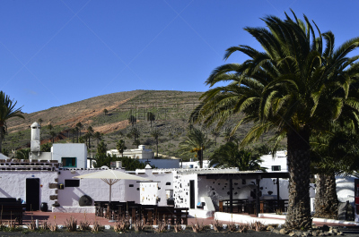 加那利群岛,兰萨罗特岛,西班牙,水平画幅,建筑,无人,大西洋群岛,海枣树,canary island date palm,摄影