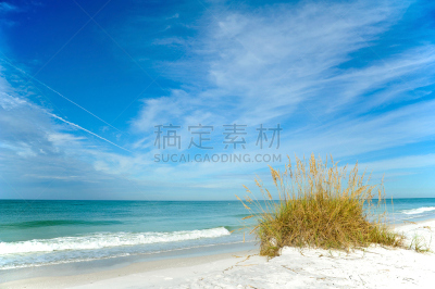 佛罗里达,自然美,海岸线,安娜玛利亚岛,海岸野燕麦,墨西哥湾,天空,水平画幅,沙子,无人