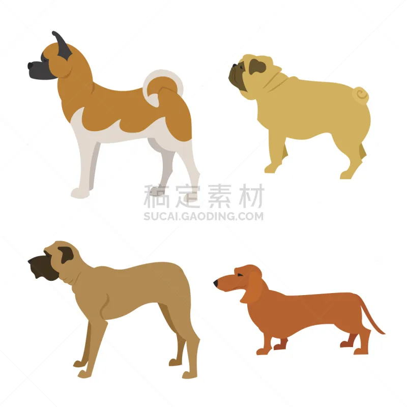 狗 白色背景 分离着色 纯种犬 背景分离 肖像 脊椎动物 模板 哺乳纲 哈巴狗图片素材下载 稿定素材 狗 白色背景 分离着色 纯种犬 背景分离 肖像 脊椎动物 模板 哺乳纲 哈巴狗图片素材下载 稿定素材
