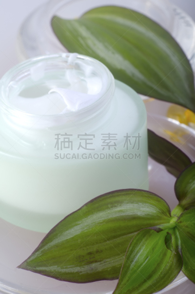 奶油,垂直画幅,白色,拥挤的,草原,绿色,无人,音量旋钮,叶子,化妆用品