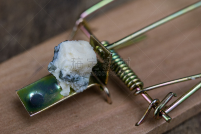 捕鼠器,桌子,啮齿目,小的,金属,个人随身用品,平衡折角灯,古典式,木制