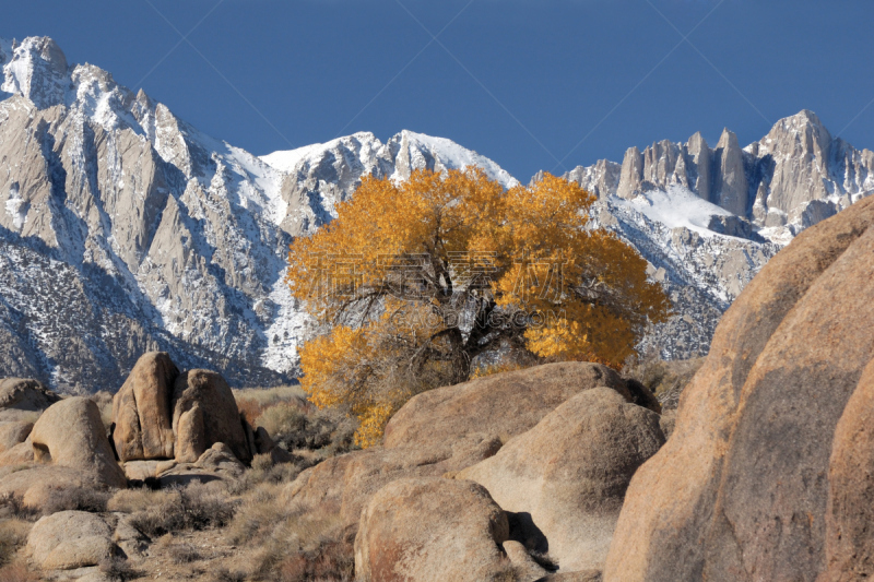 阿拉巴马山,惠特尼山,天空,美,水平画幅,山,雪,半空中,户外,干净