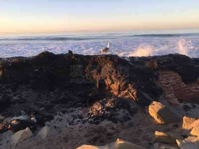 冬天,卡子特里亚州立海滩,水,天空,留白,休闲活动,沙子,早晨,海浪,海滩