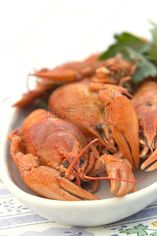 红色,餐盘,螯虾,螃蟹,餐具,垂直画幅,褐色,煮食,桌子