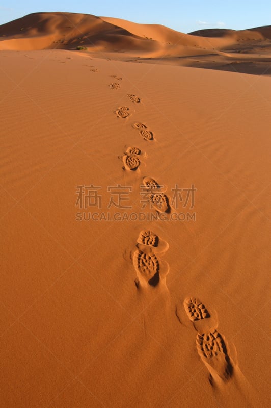 脚印,撒哈拉沙漠,热,极限运动,鞋子,摩洛哥,小路,erg chebbi dunes,沙漠,背景