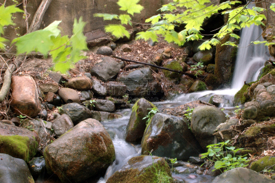 夏天,小溪,水平画幅,岩石,弗朗西斯·克里克,无人,河流,户外,叶子,摄影