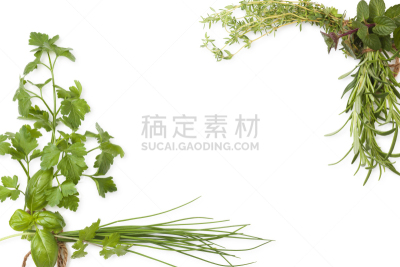 留白,草本,背景,水平画幅,高视角,无人,芫荽叶,胡荽籽,现代,植物