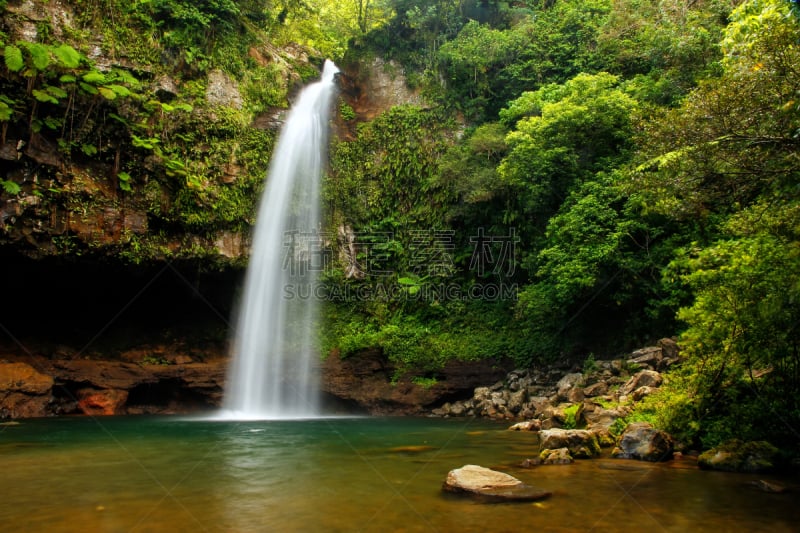 鲍马国家遗址公园,taveuni,瀑布,放低,瓦努阿岛岛,南太平洋,自然,水平画幅,热带雨林,旅行者