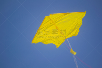 黑肩鸢,自然,水平画幅,形状,沙子,乌克兰,夏天,时间,凉拖鞋,太阳