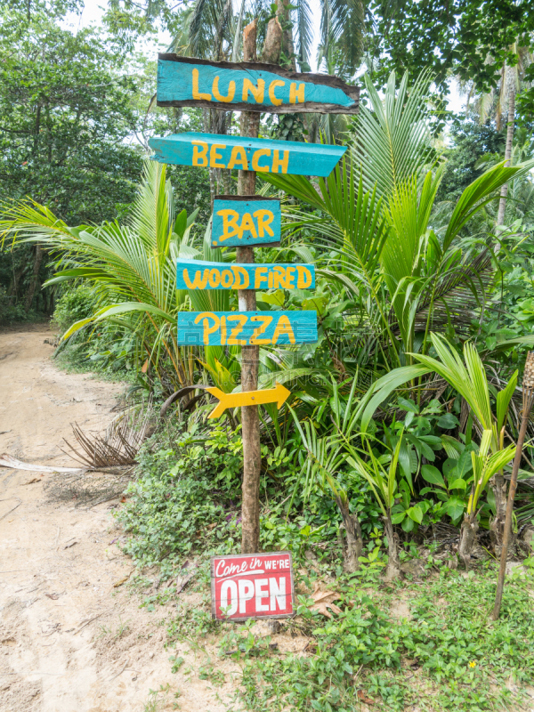 比萨饼,海滩,标志,加勒比海地区,热带雨林,安全护栏,背景,垂直画幅,绿色,无人