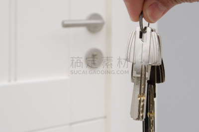 佛罗里达群岛,房间钥匙,商务,安全,钥匙,建筑物门,钥匙圈,拿着,安防系统,新的