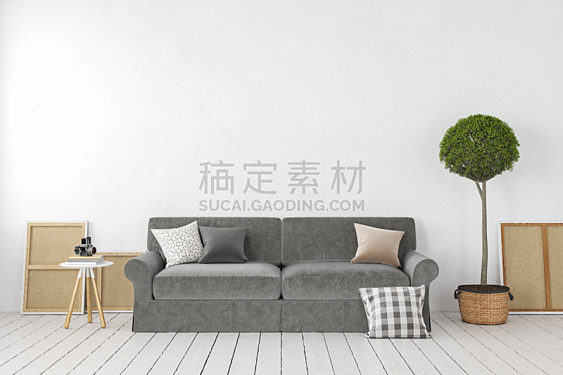 空的,沙发,植物,三维图形,绘画插图,白色,空白的,室内,枕头,墙