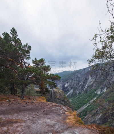 voringsfossen,北地,挪威,旅途,斯堪的纳维亚半岛,草,河流,瀑布,户外,峡湾