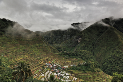 巴拿威,稻,乡村,梯田,吕宋岛,摄像机拍摄角度,伊富高,小木屋,居住区,圆形剧场