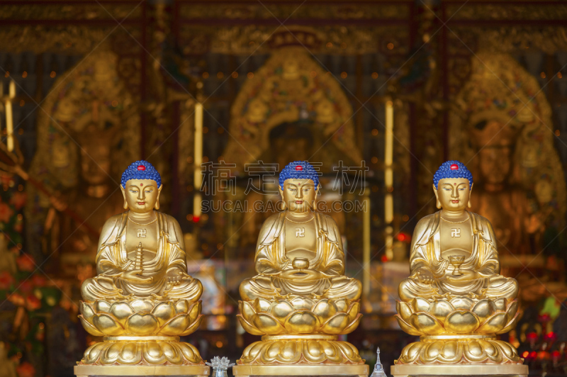 佛,万佛寺,沙田,道教,灵性,金色,水平画幅,当地著名景点,东亚,旅行者