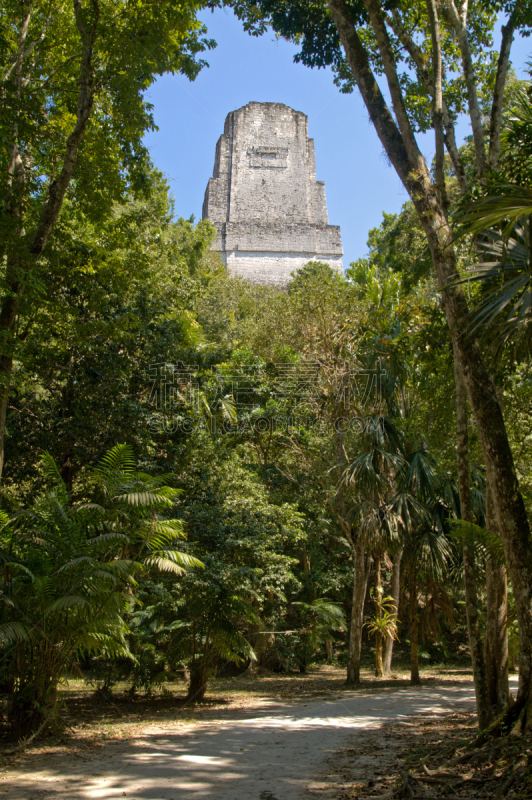 迪卡尔,埃裴登,热带雨林,寺庙,危地马拉,树冠,垂直画幅,古代文明,灵性