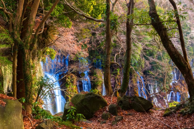 shiraito falls,瀑布,przewalski,自然,旅游目的地,水平画幅,无人,日本,户外,风景